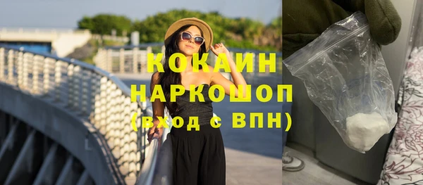 бошки Няндома