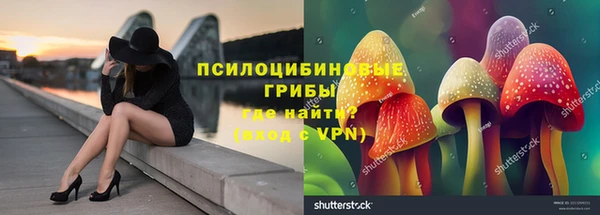 ECSTASY Весьегонск
