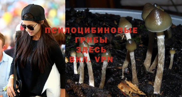 бошки Няндома