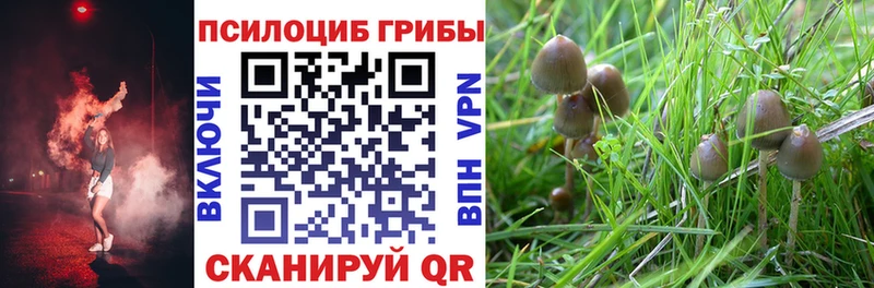 Галлюциногенные грибы ЛСД  Камбарка 