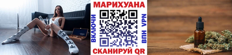 МЕГА ссылки  дарнет шоп  Камбарка  Каннабис сатива 